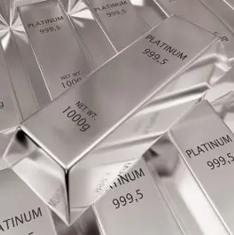 PLATINUM (met rallydeelname)